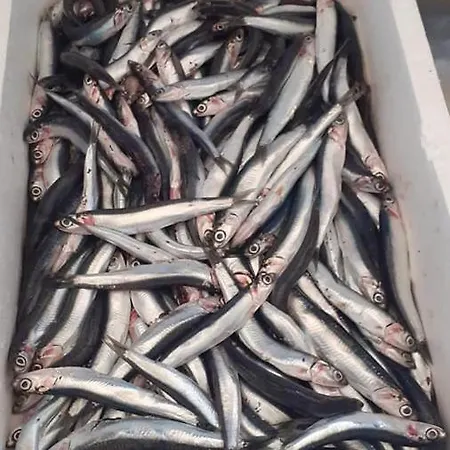 La Valle Ristorante Pizzeria 호텔