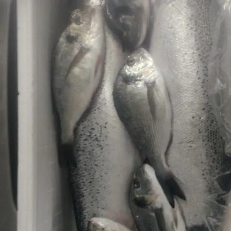 La Valle Ristorante Pizzeria מלון