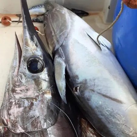 La Valle Ristorante Pizzeria זמברונה