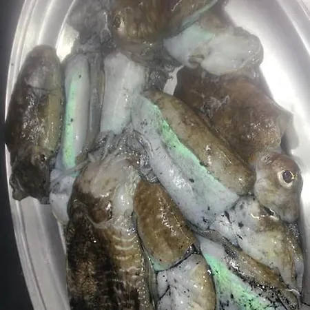 מלון La Valle Ristorante Pizzeria זמברונה