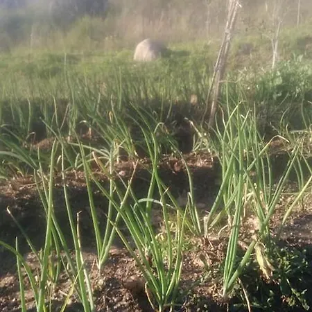 La Valle Ristorante Pizzeria 3* זמברונה