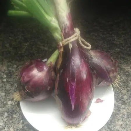 La Valle Ristorante Pizzeria מלון 3*