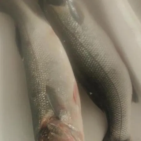 호텔 La Valle Ristorante Pizzeria