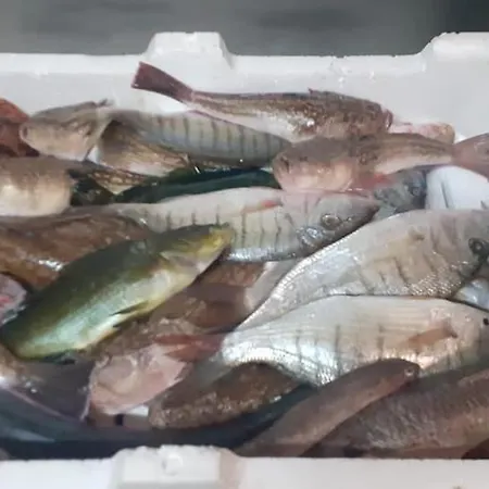 La Valle Ristorante Pizzeria 3*