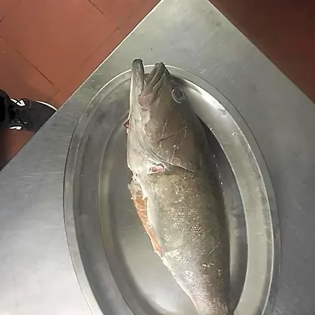 ホテル La Valle Ristorante Pizzeria ザンブローネ