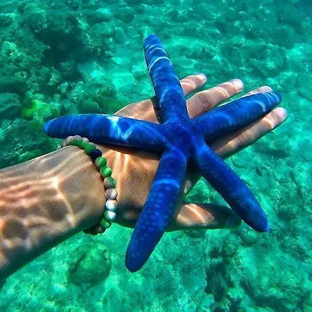 호텔 La Valle Ristorante Pizzeria 3*