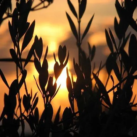 מלון La Valle Ristorante Pizzeria זמברונה