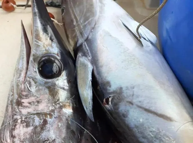 La Valle Ristorante Pizzeria Zambrone