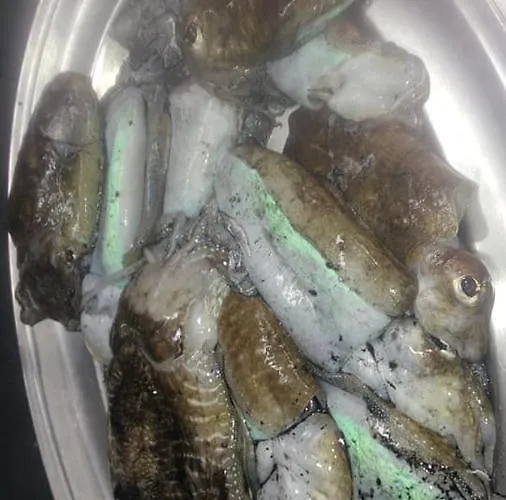 Hotell La Valle Ristorante Pizzeria Zambrone