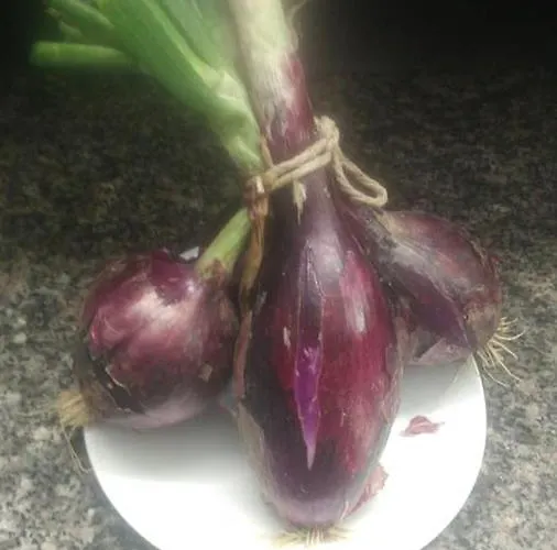 La Valle Ristorante Pizzeria Hotell 3*