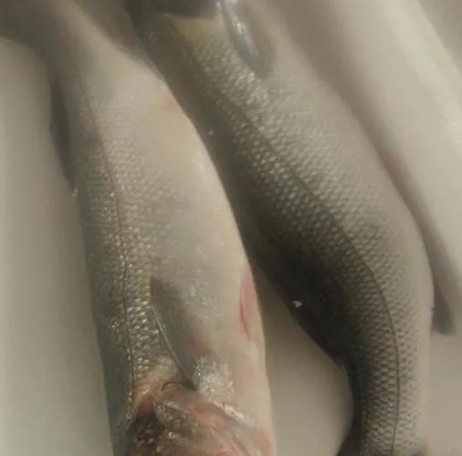 Hotell La Valle Ristorante Pizzeria